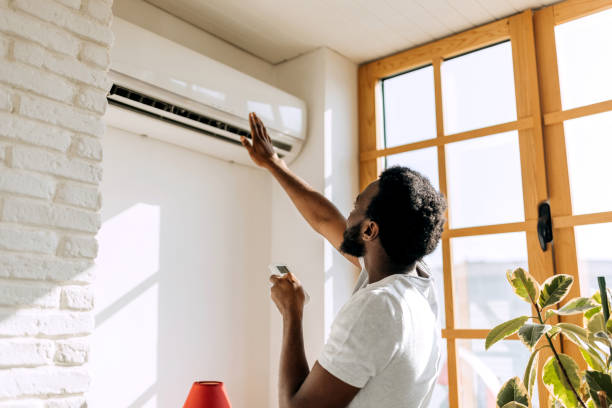 Best Ductless Mini-Split Systems in Amador Pines, CA