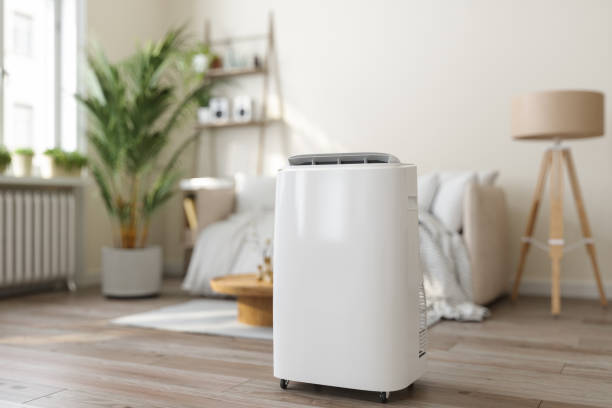 Best Air Filters and Purifiers in Amador Pines, CA